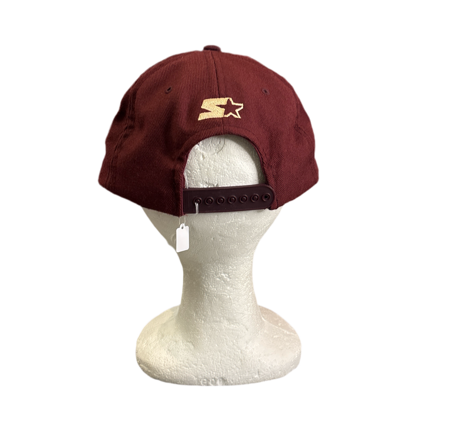 Vintage Starter Washington Redskins Arch Logo Wool Hat