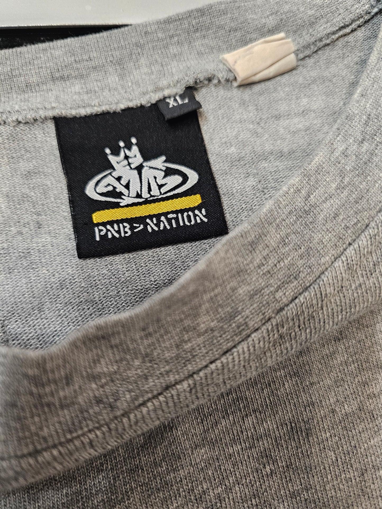 Pnb nation y2k grey longsleeve