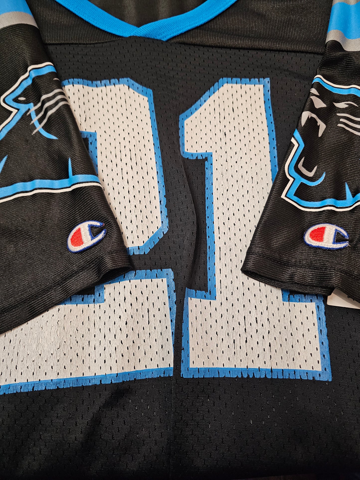 Vintage Champion Tim Biakabutuka #21 Carolina panthers football jersey 🏈