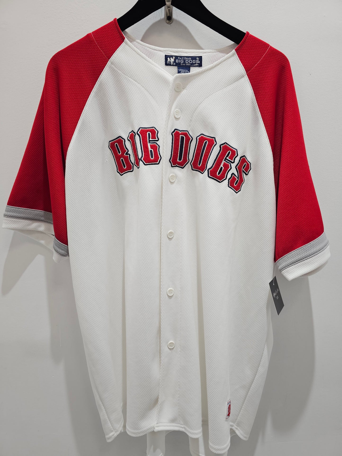 Vintage Big Dogs Buttons down jersey