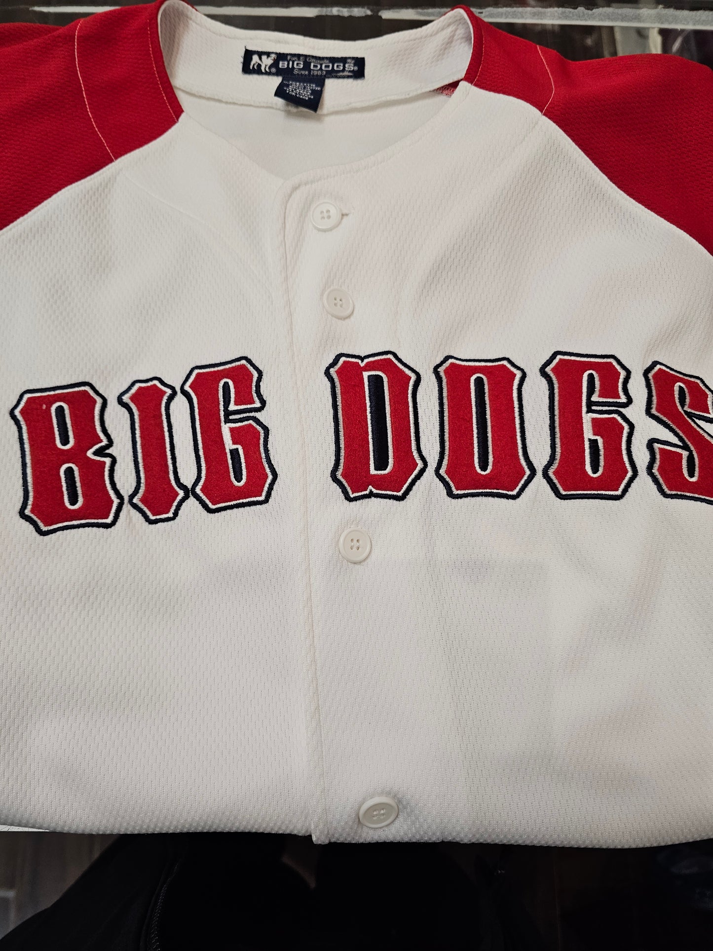 Vintage Big Dogs Buttons down jersey