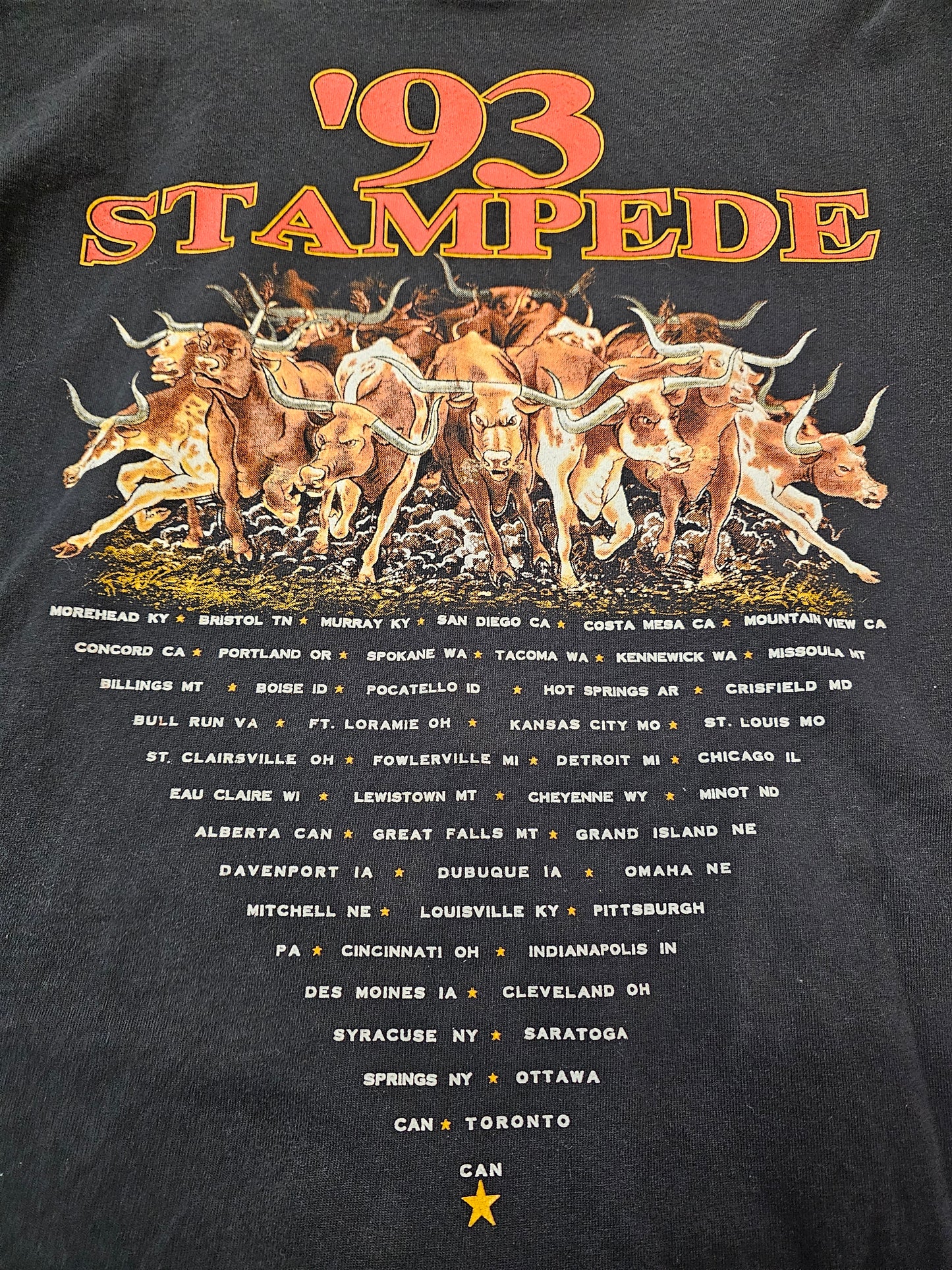 Vintage 1993 Brooks & Dunn Stampede Concert Tour Tshirt