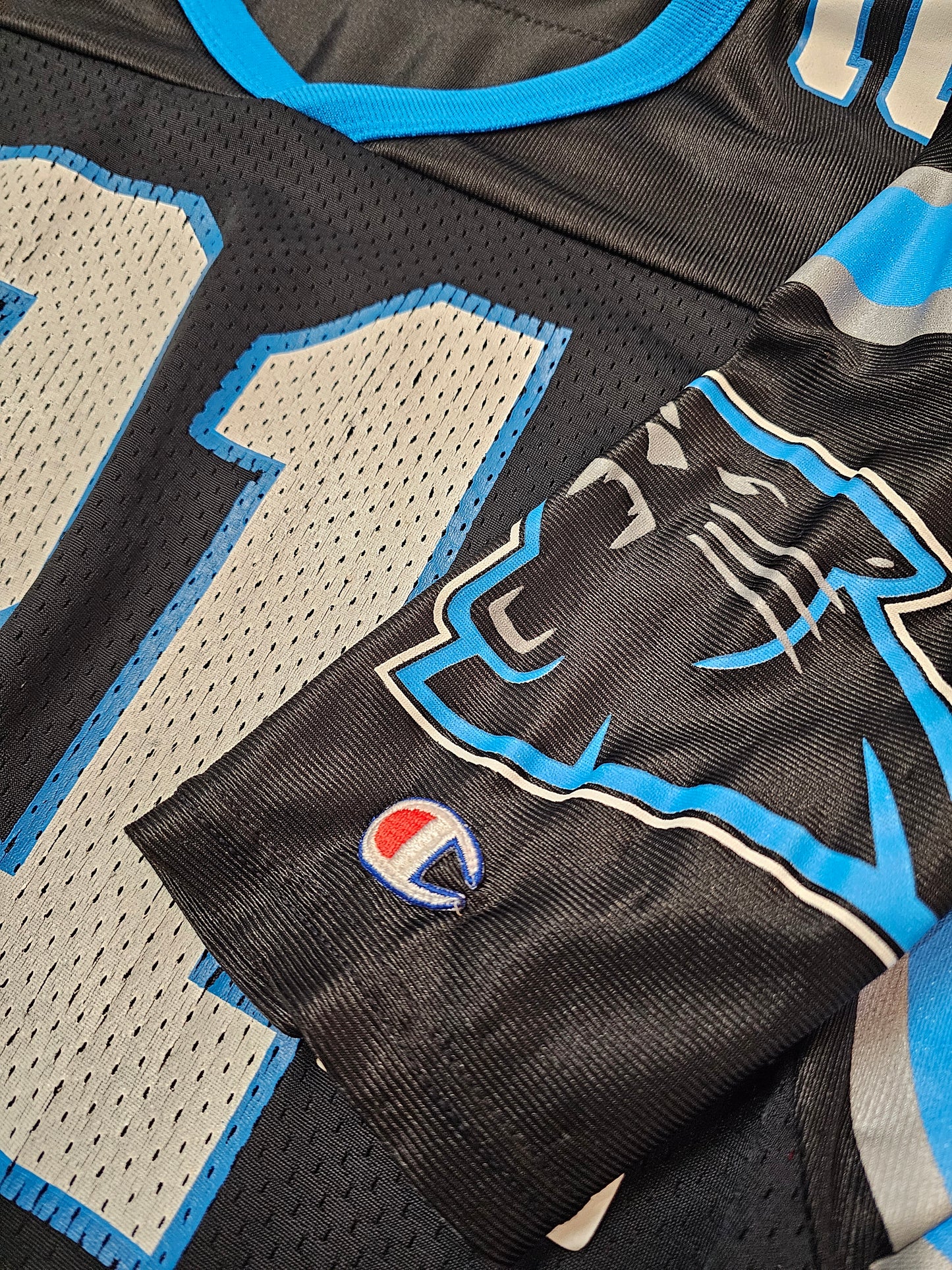 Vintage Champion Tim Biakabutuka #21 Carolina panthers football jersey 🏈