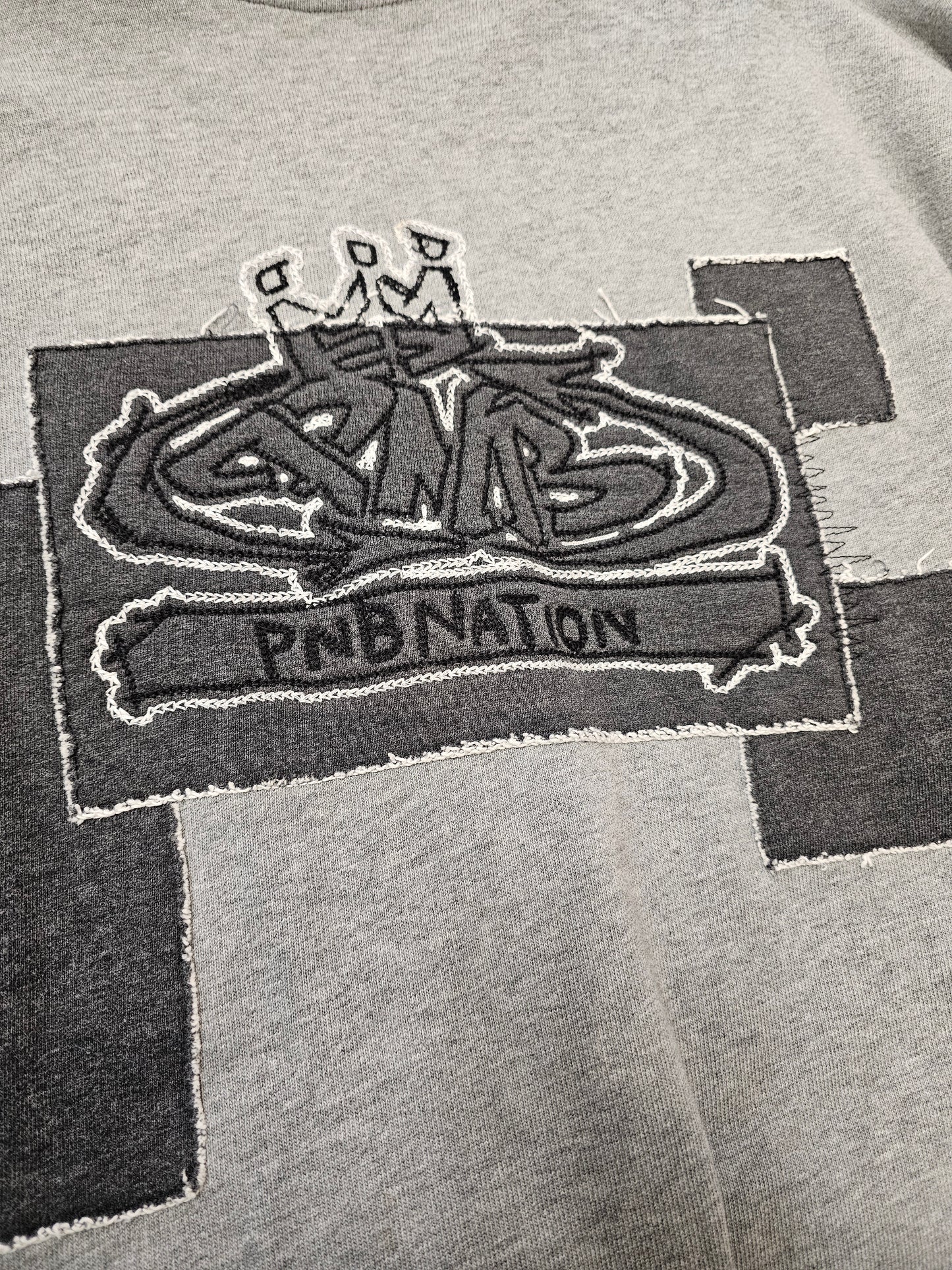 Pnb nation y2k grey longsleeve