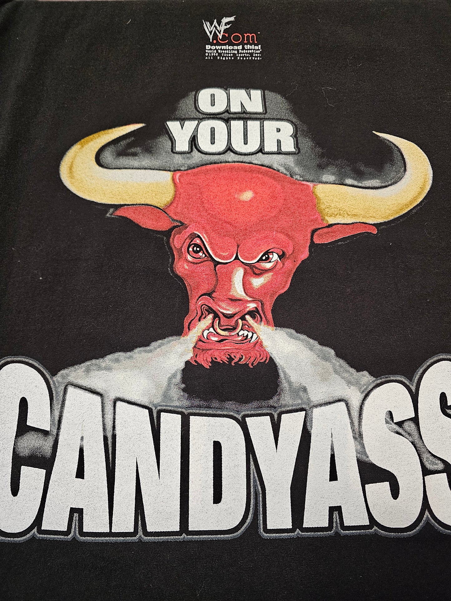 Vintage 1998 The rock layeth the smacketh down on your candyass tshirt